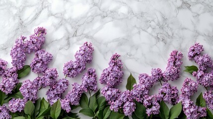 Fresh Lilac Blooms Against a White Marble Background, Showcasing Delicate Beauty and Elegance