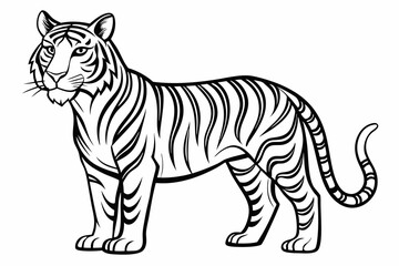coloring page line art the tiger black vector