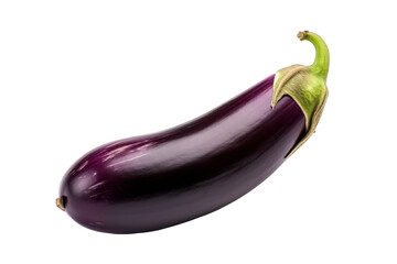 eggplant isolated