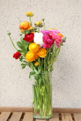 Bouquet of colorful Ranunculus in the transparent glass vase on the wooden table