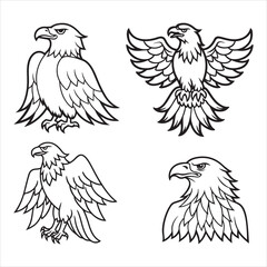 Eagle Line Art Series