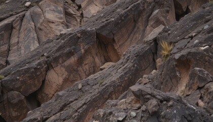 Intricate Rock Formations Dark Brown Hues, Rugged Textures, and Natural Patterns