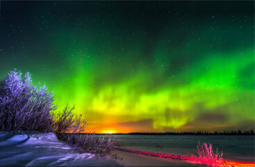 Fototapety na wymiar - Fototapeta24.pl