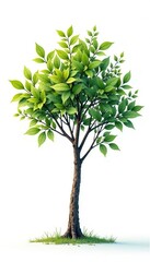 Tree with a few leaves and branches exposed against a bright white background, , solitude