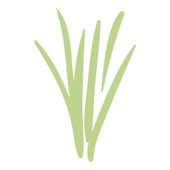Cartoon tuft of grass hand drawn illustration. Scandinavian style flat design, isolated vector. Forest, woodland, park scene, landscape element. Kids seasonal clip art, spring, summer print.
