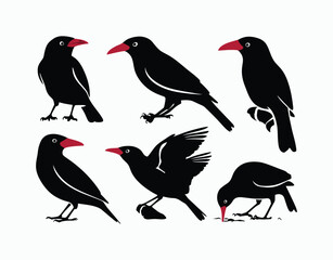 Fototapeta premium Minimal Red Billed Quelea Silhouette EPS Template Collection