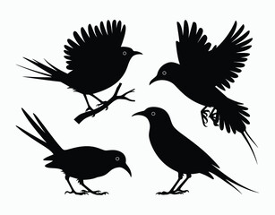 Obraz premium Minimal Red Billed Quelea Silhouette Set Vector Template