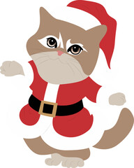 , Merry Christmas Cute Cat Santa