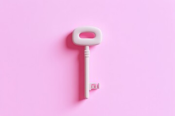 Simple, light gray key on a pink background
