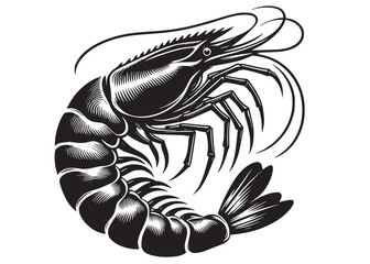 silhouette of a shrimp fish logo vector, shrimp logo icon silhouette, shrimp fish silhouette vector, prawn silhouette vector, creative vector of shrimp seafood logo icon on white background	
