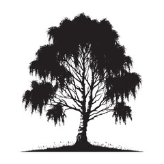 Birch Tree Vector Silhouette Illustration - Black and White Tree Clipart - Nature, Forest, Woodland, Botanical, Artistic, Elegant, Realistic Design.