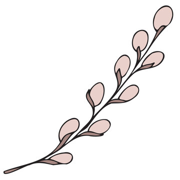 Naklejki spring easter traditional fluffy pussy willow branches, beginning of spring, vector color isolated design element, hand drawn doodle element, for kids