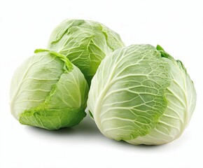Fototapeta premium cabbage isolated on white background