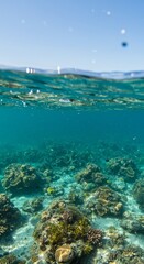 Obraz premium A glimpse beneath the surface pristine coral reef environment and skyward view