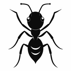 Vector illustration of an ant