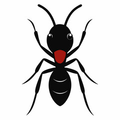Vector illustration of an ant
