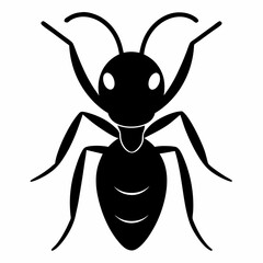 Vector illustration of an ant