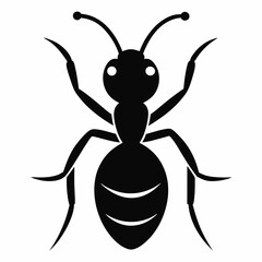 Vector illustration of an ant