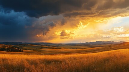Golden Hour of Serenity: A breathtaking landscape painting of a golden field, bathed in the warm, gentle light of the sunrise, with a dynamic contrast from the storm clouds.