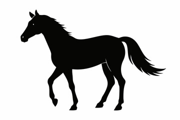 horse black silhouette vector
