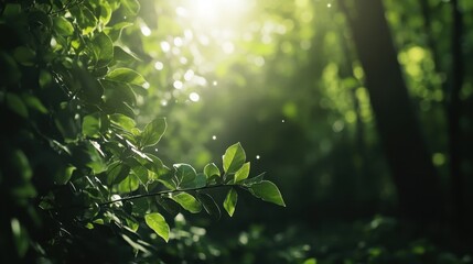 Sunlit Canopy: The photograph captures sunlight filtering through lush, vibrant green leaves, creating a magical ambiance. The bokeh effect in the background adds a dreamlike quality to the serene.