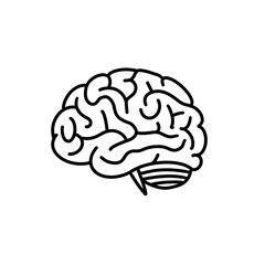 line art of brain with cerebellum, transparent background