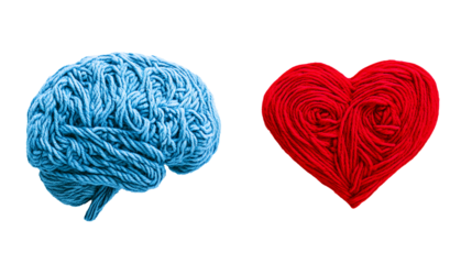 Blue Yarn Brain and Red Yarn Heart Mind and Emotion Concept