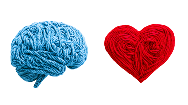Blue Yarn Brain and Red Yarn Heart Mind and Emotion Concept - Powered by Adobe