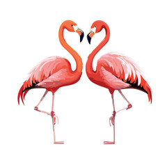 two flamingos standing on 