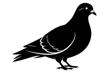 pigeon black silhouette vector