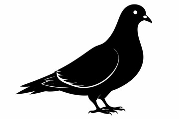 pigeon black silhouette vector