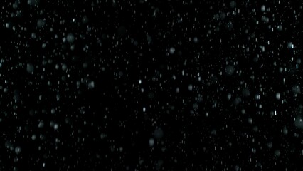 Freeze Motion of Rain - Falling Water Drops Isolated on Black Background