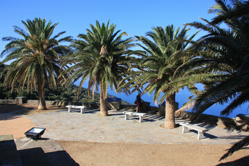 Terrasse sur la mer &agrave; Canari, cap Corse