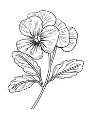 Pansy Flower Coloring Page – Delicate Floral Illustration