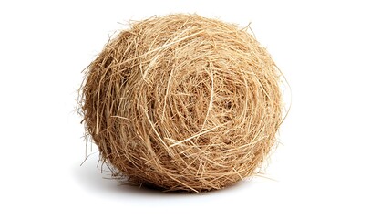Spherical mass of light brown, tangled fibers isolated on white.