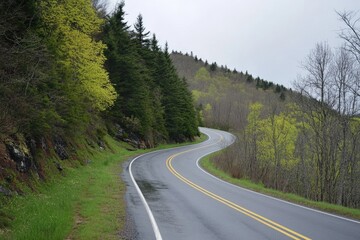 Fototapeta premium Scenic View of Blue Ridge Parkway: Majestic Mountain Chain in North Carolina and Virginia Surrounded by Lush Forest Beauty