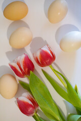 easter eggs and tulips