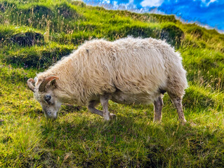 Skogafoss waterfall and the hike of 20 waterfalls, Iceland