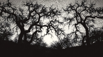 Striking tree with no leaves under twilight sky creating a dramatic and beautiful scene with dappled light and intriguing silhouettes.
