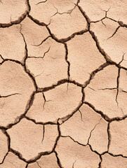 Cracked, dry earth texture; arid, parched land