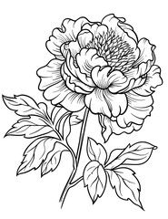 Peony Flower Coloring Pages &ndash; Detailed Floral Art for Relaxation
