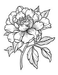 Peony Flower Coloring Pages &ndash; Detailed Floral Art for Relaxation