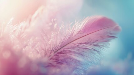 Obraz premium Delicate Feather with Soft Colors in Dreamy Background Blur