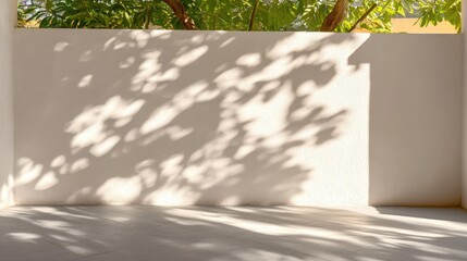 Sunlight dappled shadows on a white wall, patio