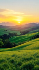 Golden sunset illuminating rolling green hills and fields
