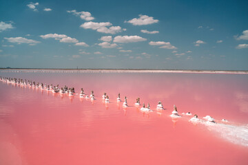 Pink Lake, Mexico, Tourists Walking Salt Flats: Aerial view showing numerous tourists walking...