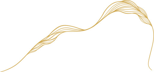 Gold Line Wave Border