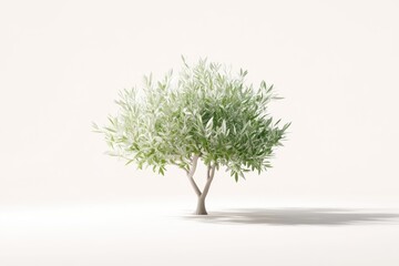 Isolated, light-filled olive tree.  A digitally rendered,  pale-toned olive tree, subtly detailed, against a blank white background.  Soft lighting creates a gentle shadow below