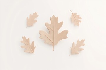 Delicate, light beige autumn leaves arranged on a white surface