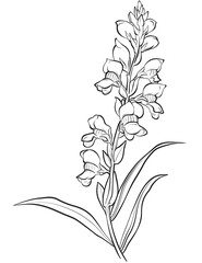 Snapdragon Flower Coloring Pages – Fun and Elegant Floral Art